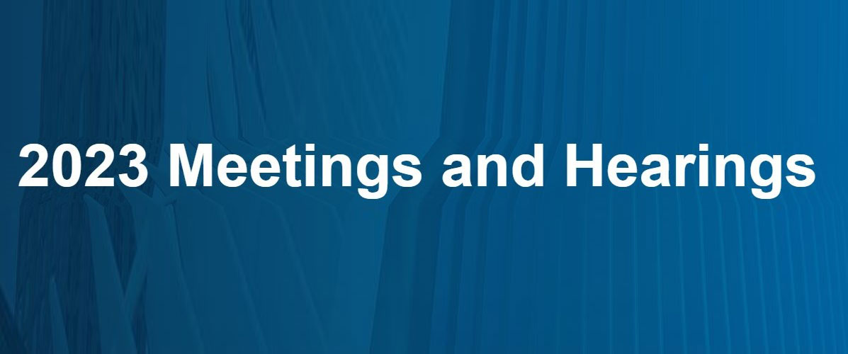 NYC 2023 Rent Guidelines Board Public Hearing